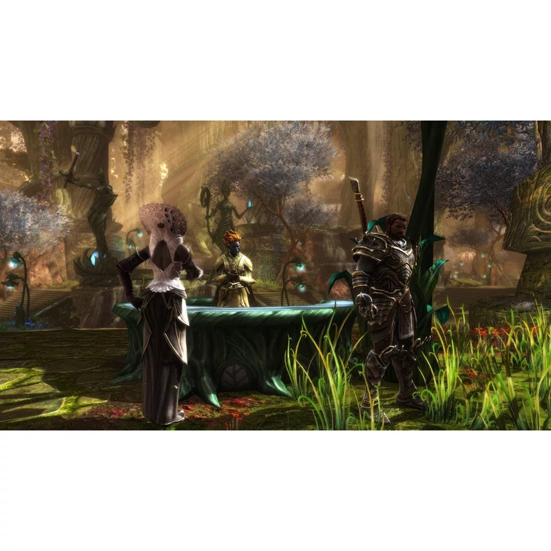 Kingdom of Amalur Re-Reckoning (PS4)