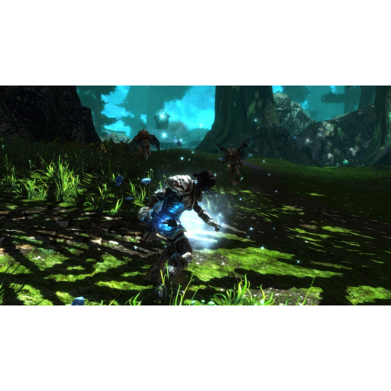 Kingdom of Amalur Re-Reckoning (Xbox One)