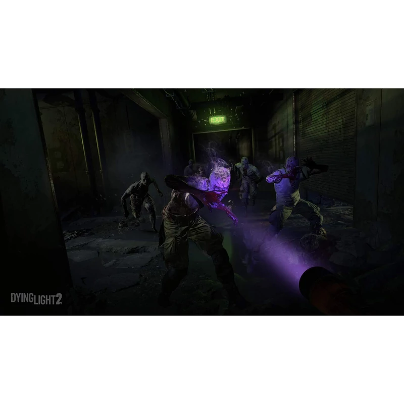 Dying Light 2 (PS4)