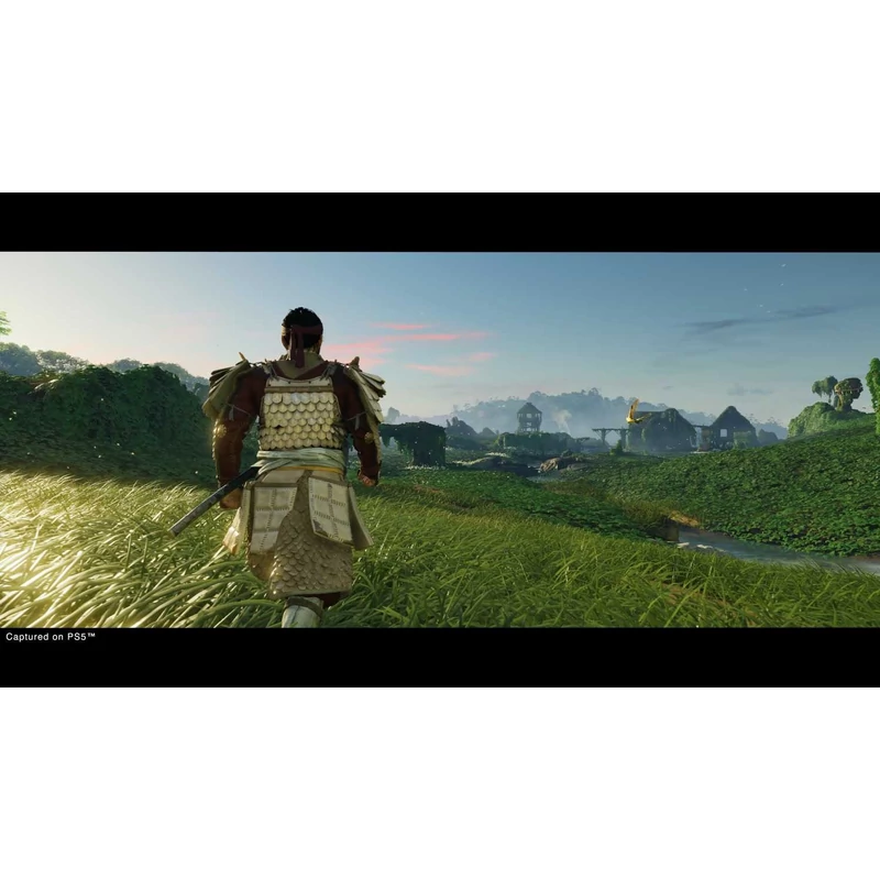 Ghost of Tsushima Director's Cut (PS4)