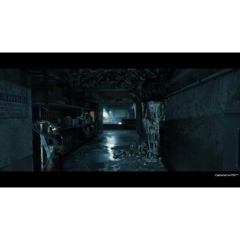Death Stranding Director's Cut (PS5)