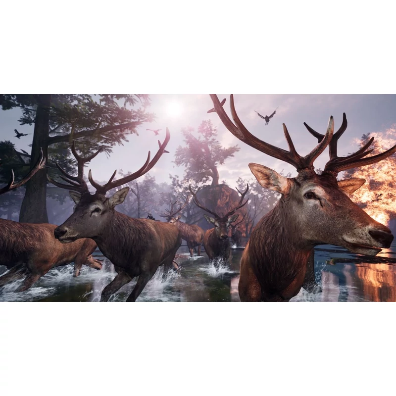Away: The Survival Series (PS5)