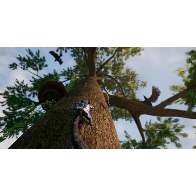 Away: The Survival Series (PS5)