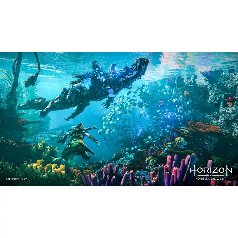 Horizon Forbidden West (PS4)