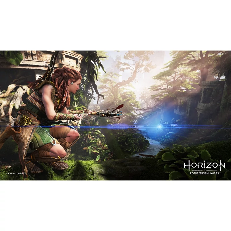 Horizon Forbidden West (PS5)