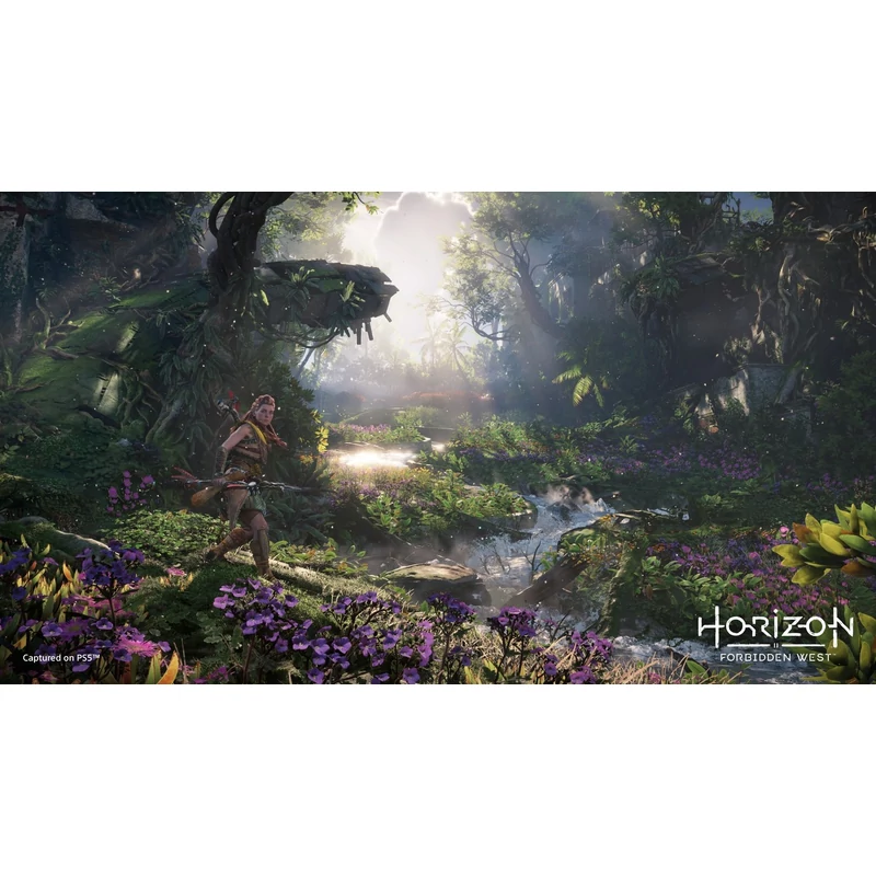 Horizon Forbidden West (PS5)