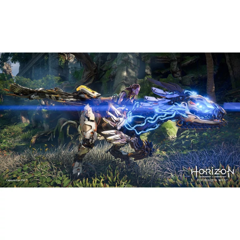 Horizon Forbidden West (PS5)