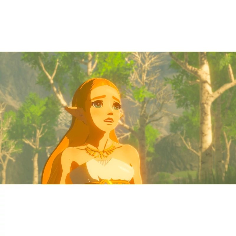 The Legend of Zelda Breath of the Wild