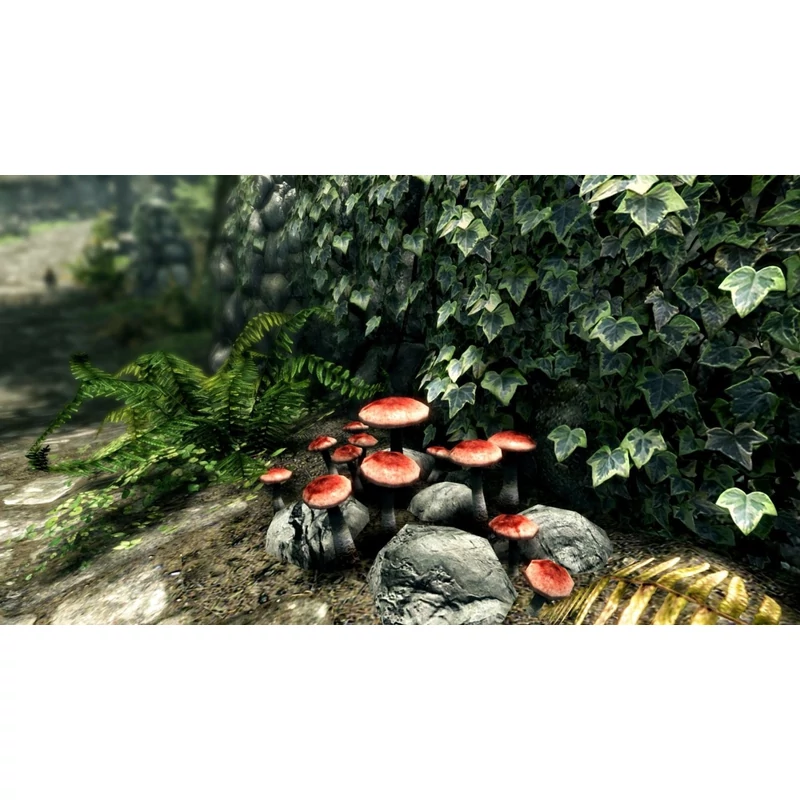 The Elder Scrolls V Skyrim Special Edition