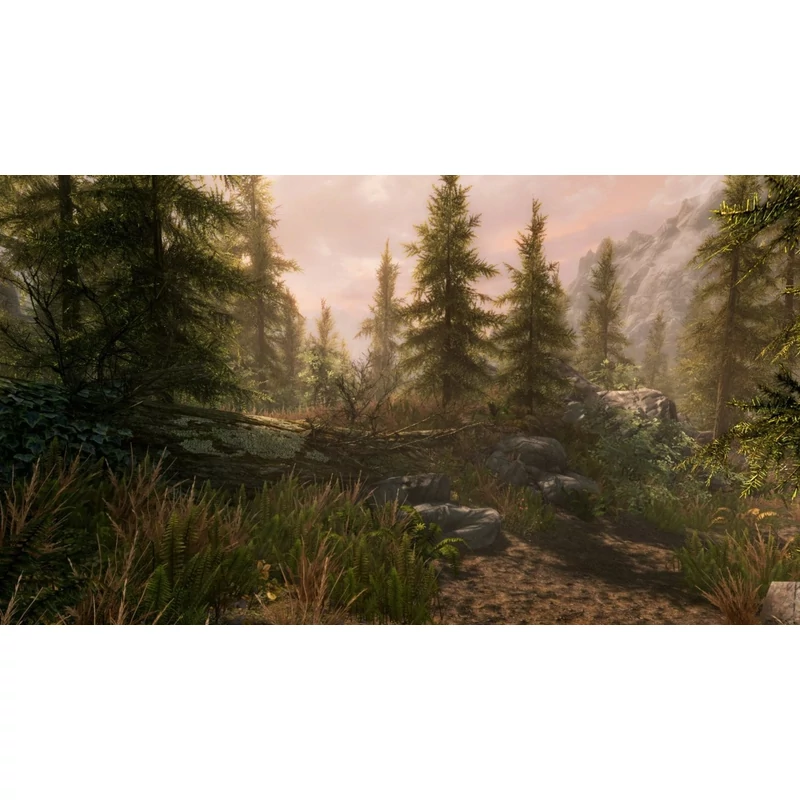 The Elder Scrolls V Skyrim Special Edition