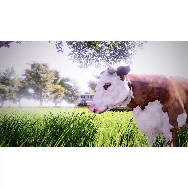 Real Farm